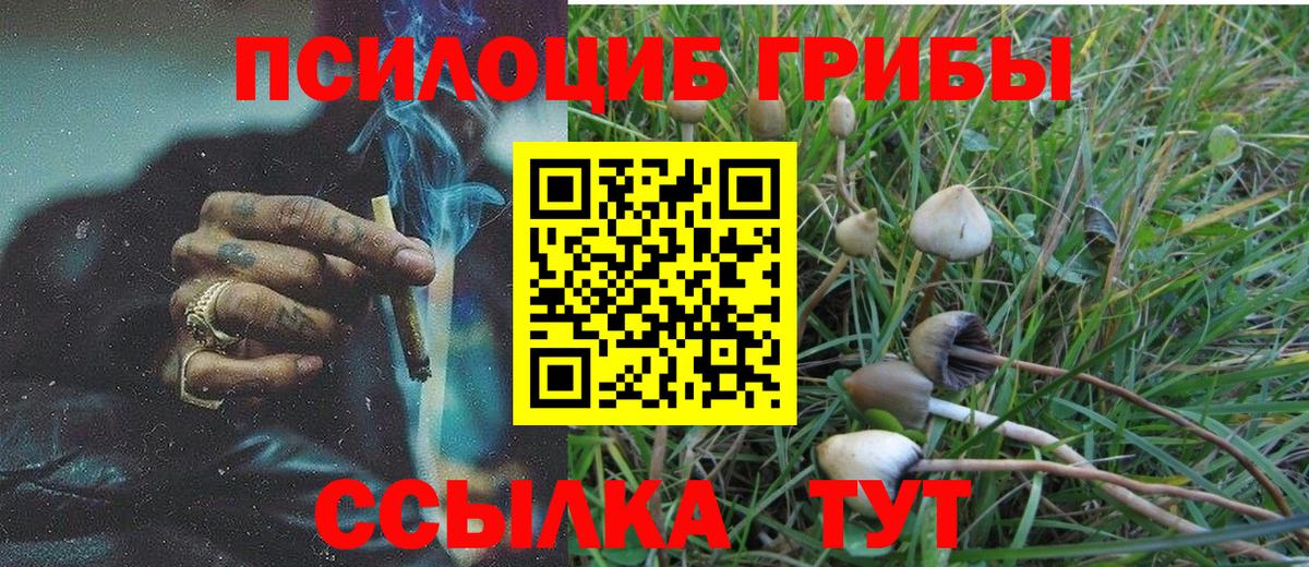 Галлюциногенные грибы GOLDEN TEACHER Шелехов