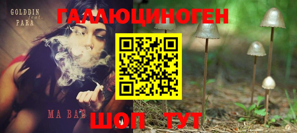 Псилоцибиновые грибы Cubensis  купить наркотик  Шелехов  Вход с VPN 